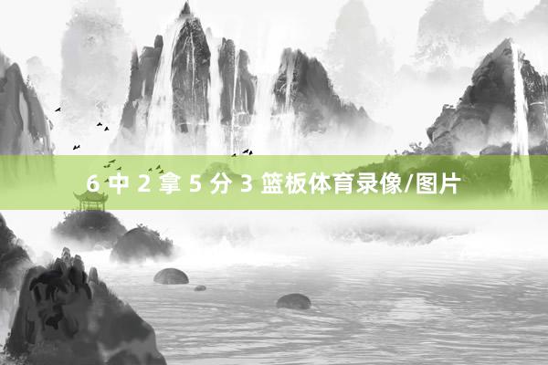 6 中 2 拿 5 分 3 篮板体育录像/图片