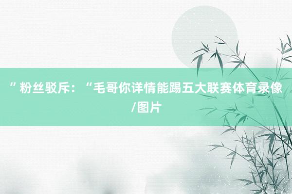 ”粉丝驳斥:“毛哥你详情能踢五大联赛体育录像/图片