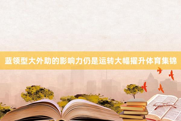 蓝领型大外助的影响力仍是运转大幅擢升体育集锦