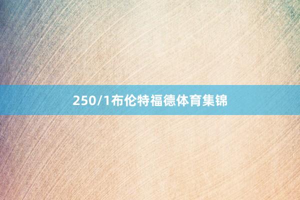 250/1布伦特福德体育集锦