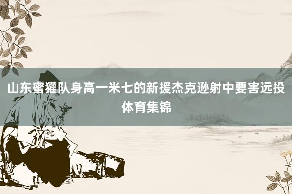 山东蜜獾队身高一米七的新援杰克逊射中要害远投体育集锦