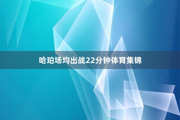 哈珀场均出战22分钟体育集锦