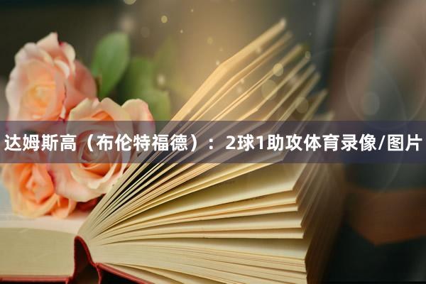 达姆斯高(布伦特福德):2球1助攻体育录像/图片