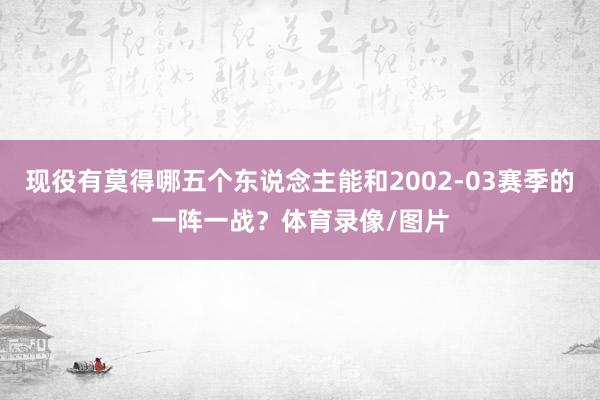 现役有莫得哪五个东说念主能和2002-03赛季的一阵一战？体育录像/图片