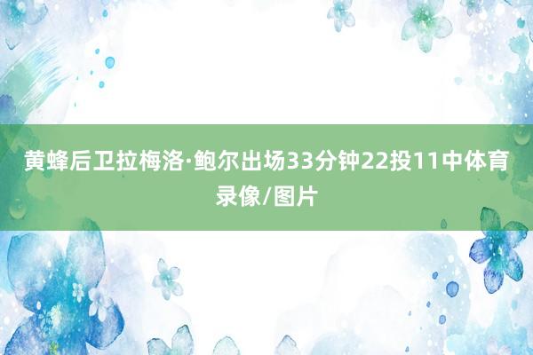 黄蜂后卫拉梅洛·鲍尔出场33分钟22投11中体育录像/图片