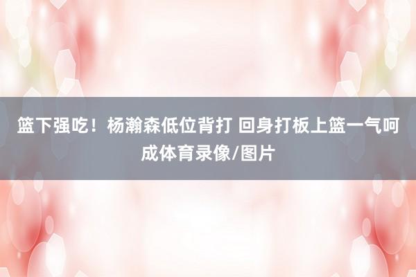 篮下强吃！杨瀚森低位背打 回身打板上篮一气呵成体育录像/图片