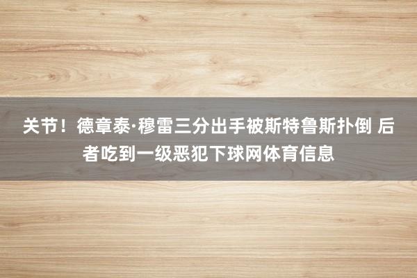 关节！德章泰·穆雷三分出手被斯特鲁斯扑倒 后者吃到一级恶犯下球网体育信息