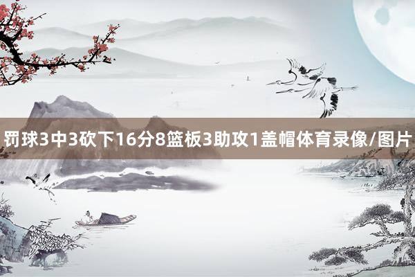 罚球3中3砍下16分8篮板3助攻1盖帽体育录像/图片