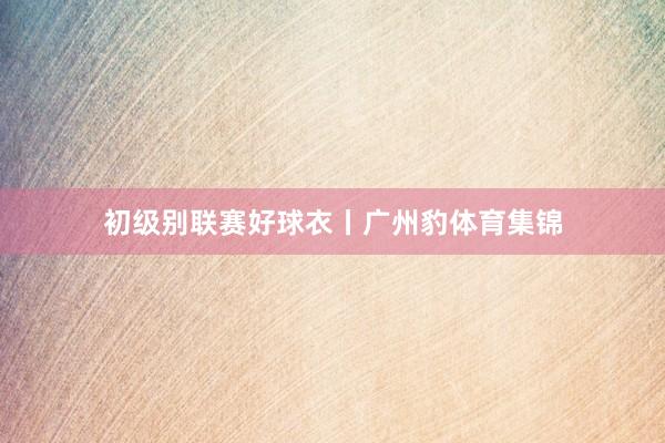 初级别联赛好球衣丨广州豹体育集锦