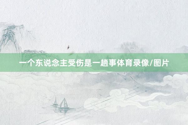 一个东说念主受伤是一趟事体育录像/图片