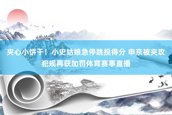 夹心小饼干！小史姑娘急停跳投得分 申京被夹攻犯规再获加罚体育赛事直播