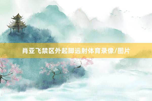 肖亚飞禁区外起脚远射体育录像/图片