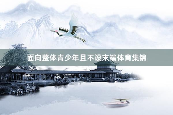 面向整体青少年且不设末端体育集锦