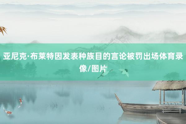 亚尼克·布莱特因发表种族目的言论被罚出场体育录像/图片