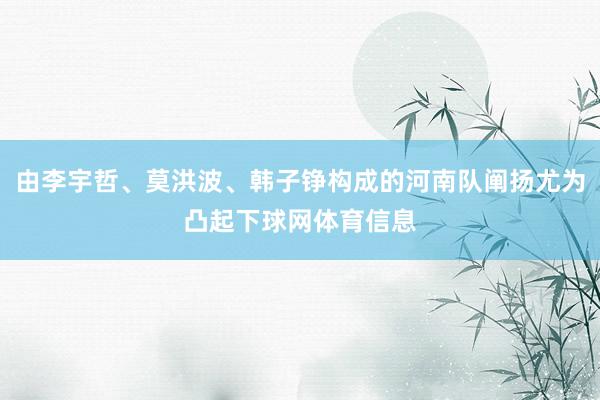 由李宇哲、莫洪波、韩子铮构成的河南队阐扬尤为凸起下球网体育信息