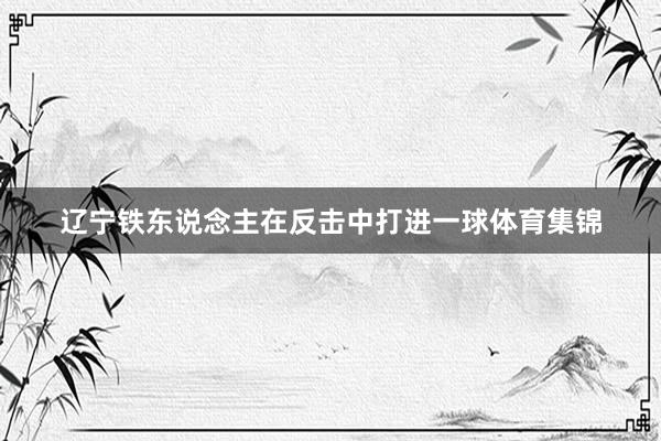 辽宁铁东说念主在反击中打进一球体育集锦