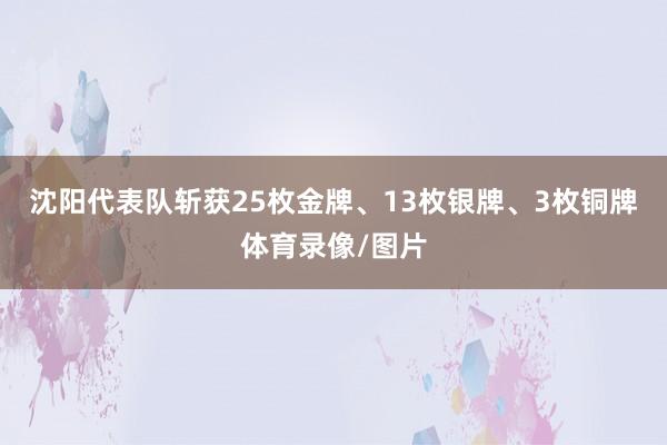 沈阳代表队斩获25枚金牌、13枚银牌、3枚铜牌体育录像/图片