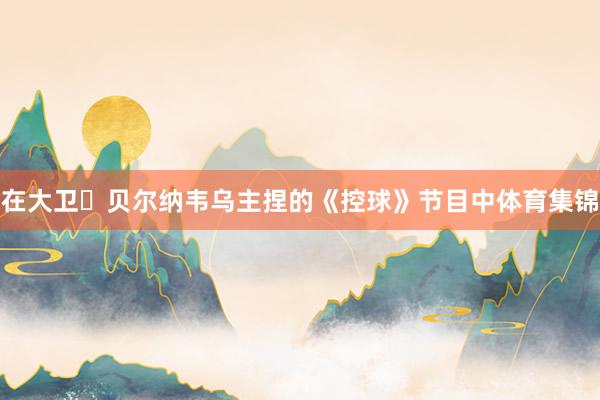 在大卫・贝尔纳韦乌主捏的《控球》节目中体育集锦