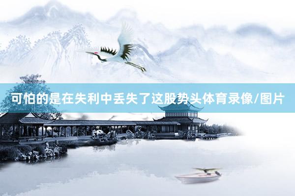可怕的是在失利中丢失了这股势头体育录像/图片