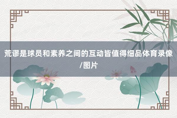 荒谬是球员和素养之间的互动皆值得细品体育录像/图片
