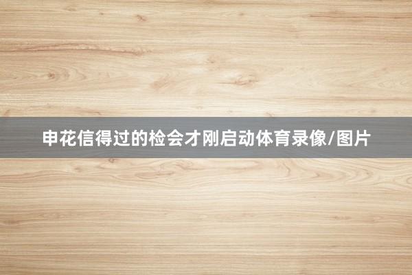 申花信得过的检会才刚启动体育录像/图片