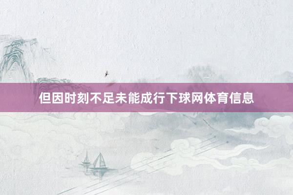 但因时刻不足未能成行下球网体育信息