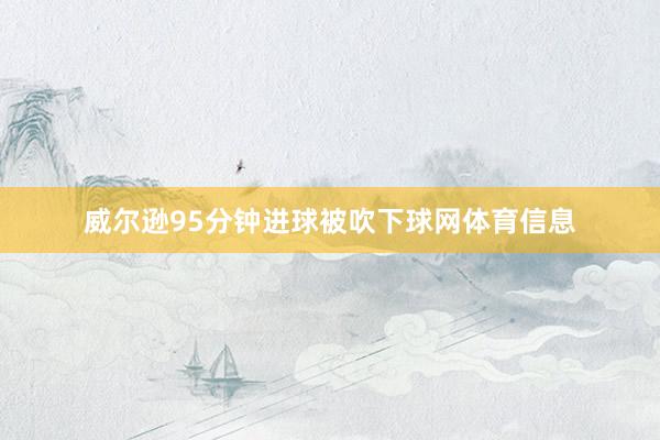 威尔逊95分钟进球被吹下球网体育信息