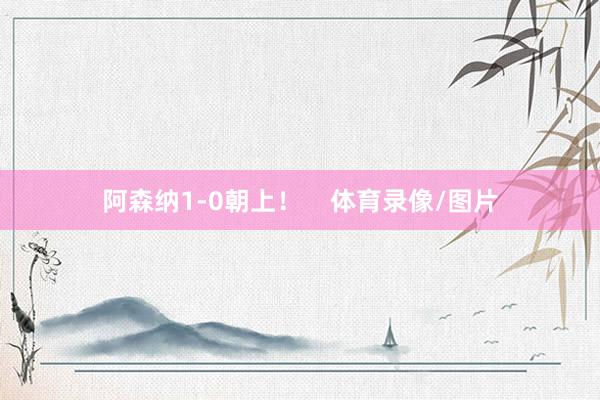 阿森纳1-0朝上! 体育录像/图片