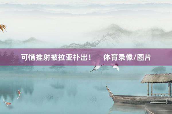 可惜推射被拉亚扑出！    体育录像/图片