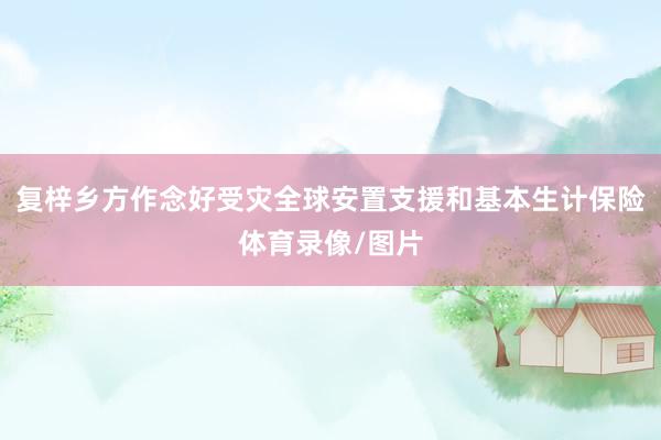 复梓乡方作念好受灾全球安置支援和基本生计保险体育录像/图片