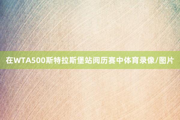 在WTA500斯特拉斯堡站阅历赛中体育录像/图片
