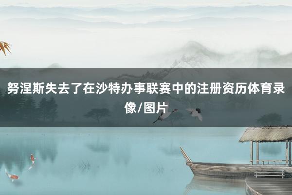 努涅斯失去了在沙特办事联赛中的注册资历体育录像/图片
