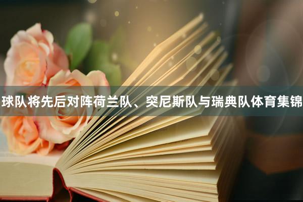 球队将先后对阵荷兰队、突尼斯队与瑞典队体育集锦