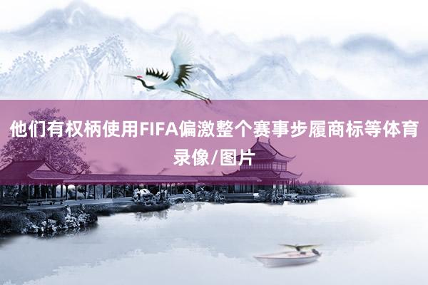 他们有权柄使用FIFA偏激整个赛事步履商标等体育录像/图片