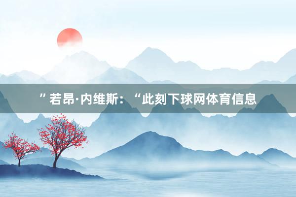 ”若昂·内维斯：“此刻下球网体育信息