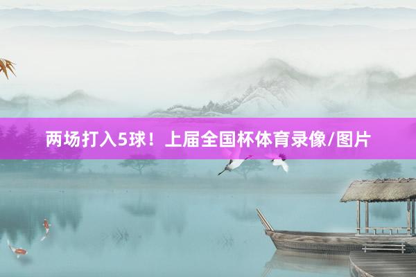 两场打入5球！上届全国杯体育录像/图片